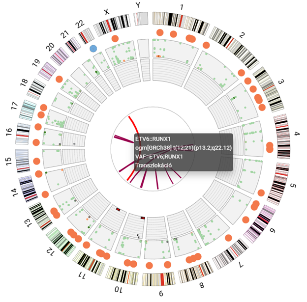 genetikai altérések ábrázolását megvalósító &quot;Circos&quot; diagram 